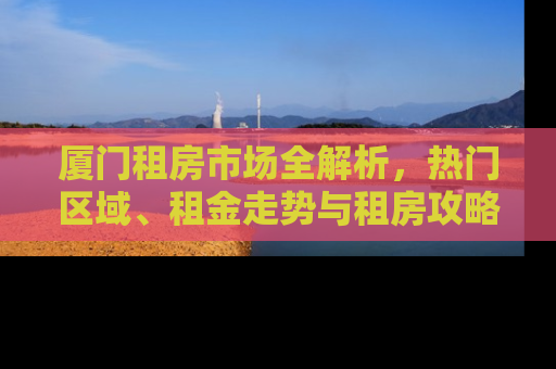 厦门租房市场全解析，热门区域、租金走势与租房攻略