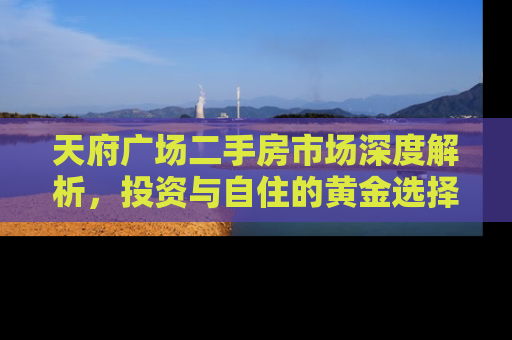 天府广场二手房市场深度解析，投资与自住的黄金选择
