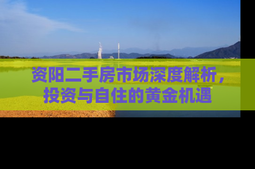 资阳二手房市场深度解析，投资与自住的黄金机遇