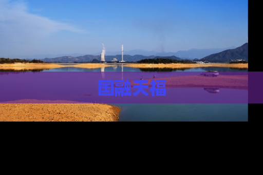 国融天福