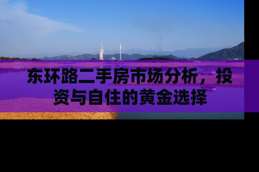 东环路二手房市场分析，投资与自住的黄金选择