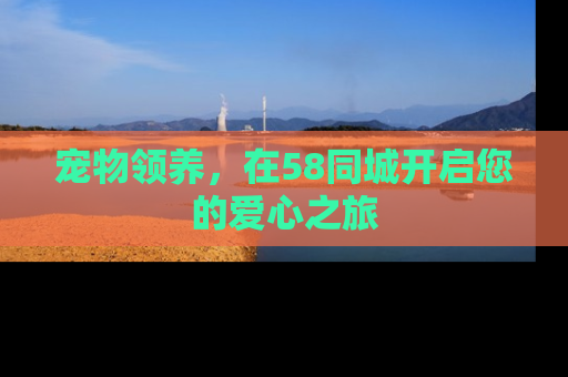 宠物领养，在58同城开启您的爱心之旅