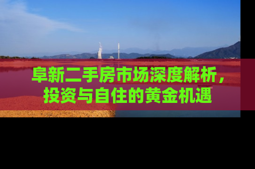 阜新二手房市场深度解析，投资与自住的黄金机遇