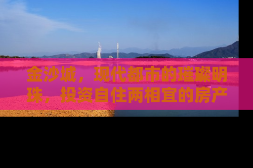 金沙城，现代都市的璀璨明珠，投资自住两相宜的房产新选择