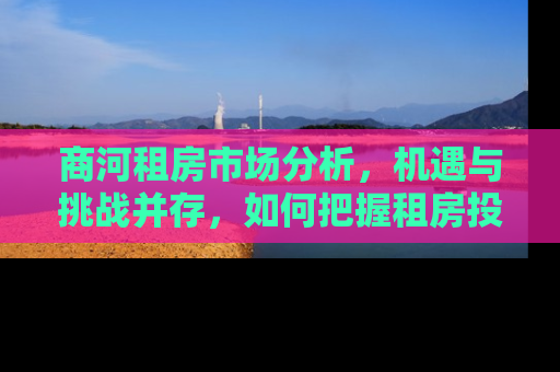 商河租房市场分析，机遇与挑战并存，如何把握租房投资的黄金时期