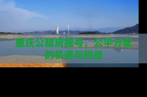 重庆公租房摇号，公平分配的机遇与挑战