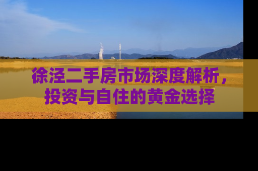 徐泾二手房市场深度解析，投资与自住的黄金选择