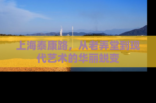 上海泰康路，从老弄堂到现代艺术的华丽蜕变