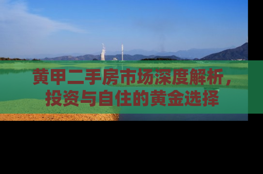 黄甲二手房市场深度解析，投资与自住的黄金选择