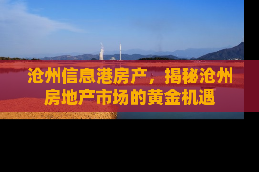 沧州信息港房产，揭秘沧州房地产市场的黄金机遇
