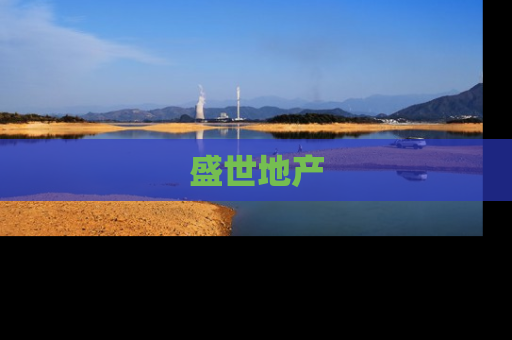 盛世地产