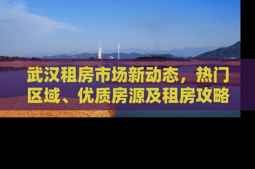 武汉租房市场新动态，热门区域、优质房源及租房攻略
