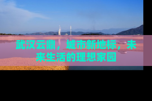 武汉云鼎，城市新地标，未来生活的理想家园