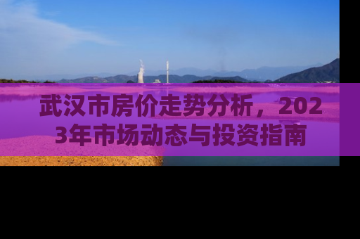 武汉市房价走势分析，2023年市场动态与投资指南