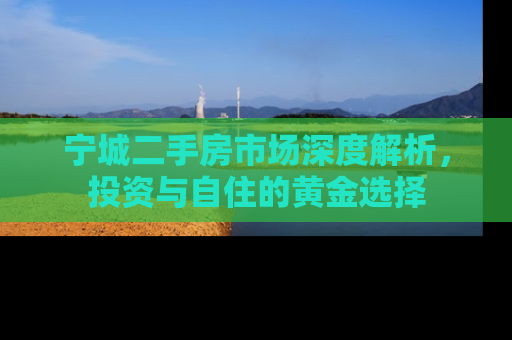 宁城二手房市场深度解析，投资与自住的黄金选择