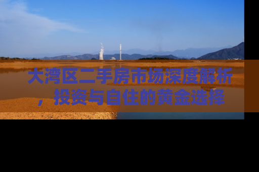 大湾区二手房市场深度解析，投资与自住的黄金选择