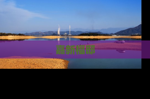 嘉新福邸