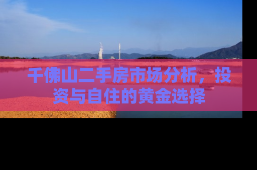 千佛山二手房市场分析，投资与自住的黄金选择