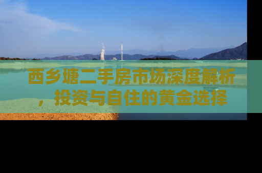 西乡塘二手房市场深度解析，投资与自住的黄金选择