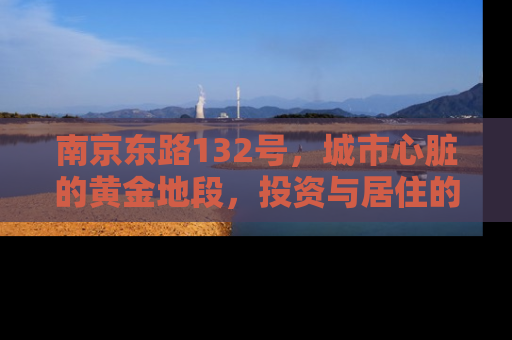 南京东路132号，城市心脏的黄金地段，投资与居住的理想选择