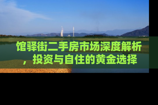 馆驿街二手房市场深度解析，投资与自住的黄金选择