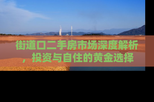街道口二手房市场深度解析，投资与自住的黄金选择