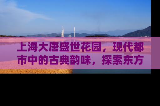 上海大唐盛世花园，现代都市中的古典韵味，探索东方美学与现代居住的完美融合
