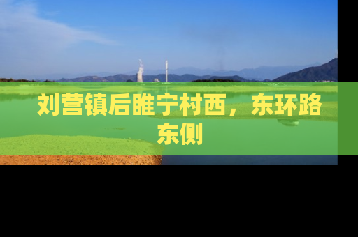 刘营镇后睢宁村西，东环路东侧