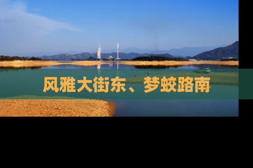 风雅大街东、梦蛟路南