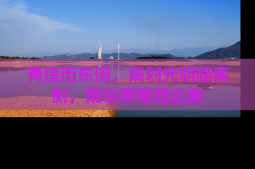 青莲街东侧，规划光明路南侧，规划宇康路北侧