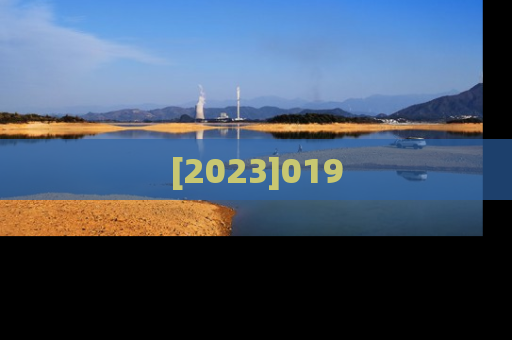 [2023]019
