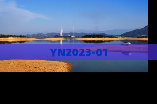 YN2023-01