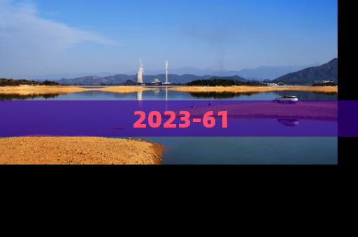 2023-61