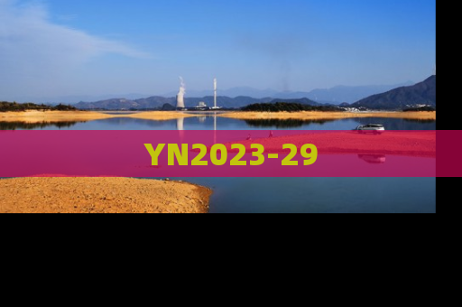 YN2023-29
