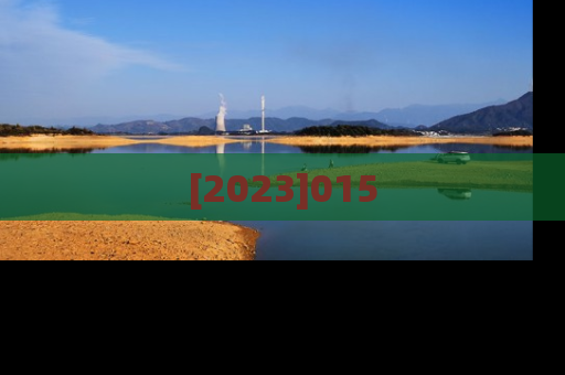 [2023]015
