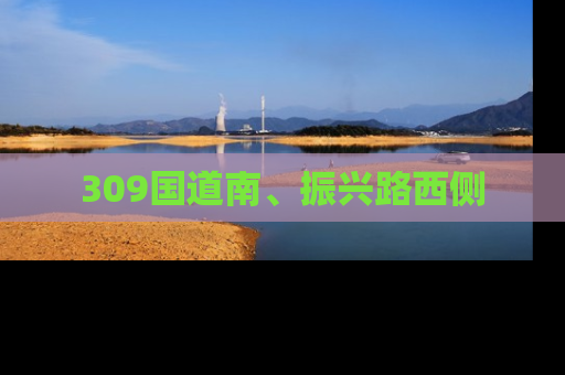 309国道南、振兴路西侧
