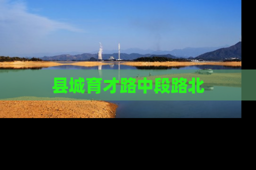 县城育才路中段路北