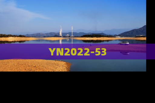 YN2022-53