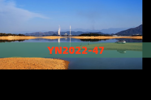 YN2022-47