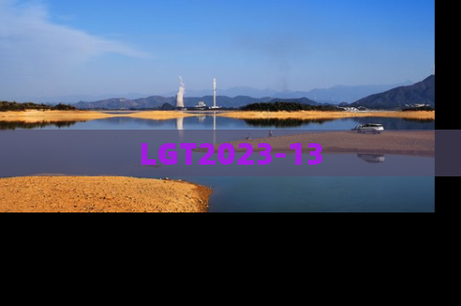 LGT2023-13