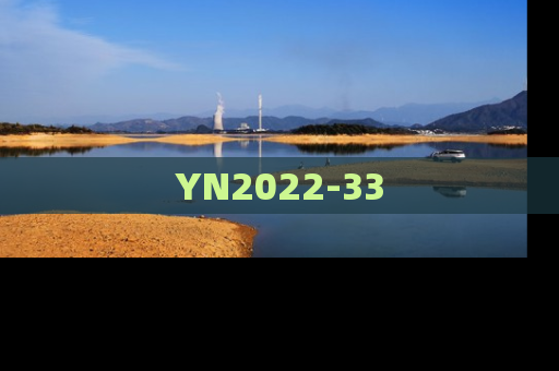 YN2022-33