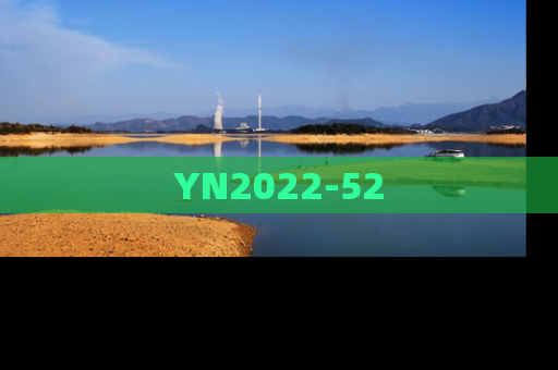 YN2022-52