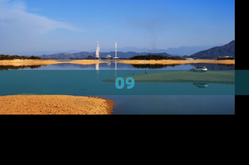 09
