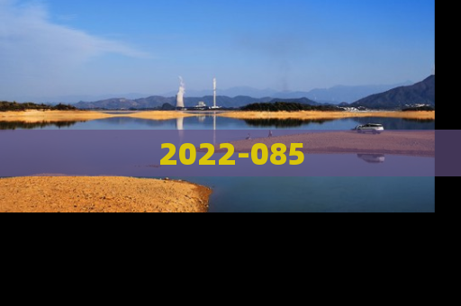 2022-085