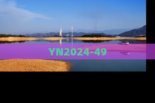 YN2024-49