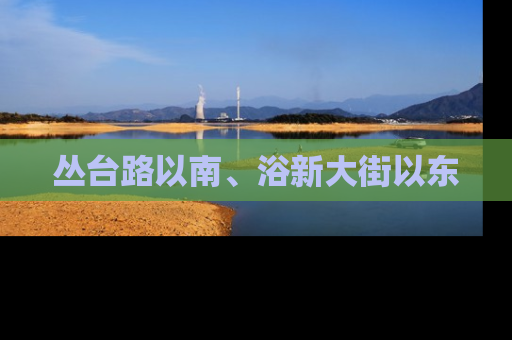 丛台路以南、浴新大街以东