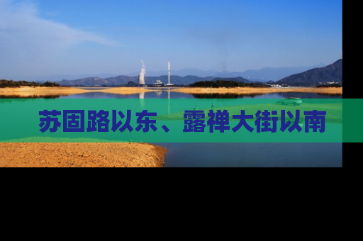 苏固路以东、露禅大街以南