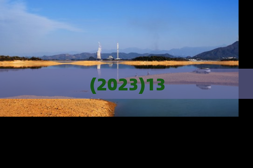 (2023)13