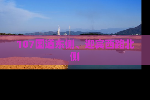107国道东侧、迎宾西路北侧