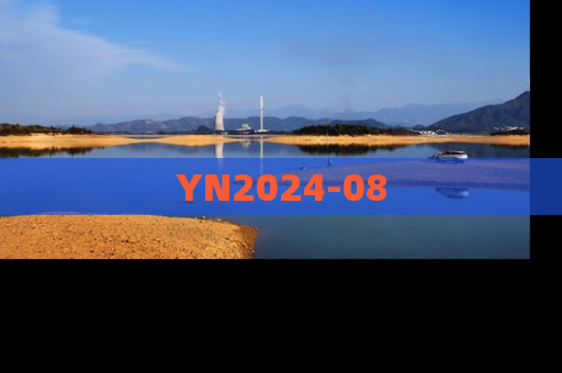 YN2024-08